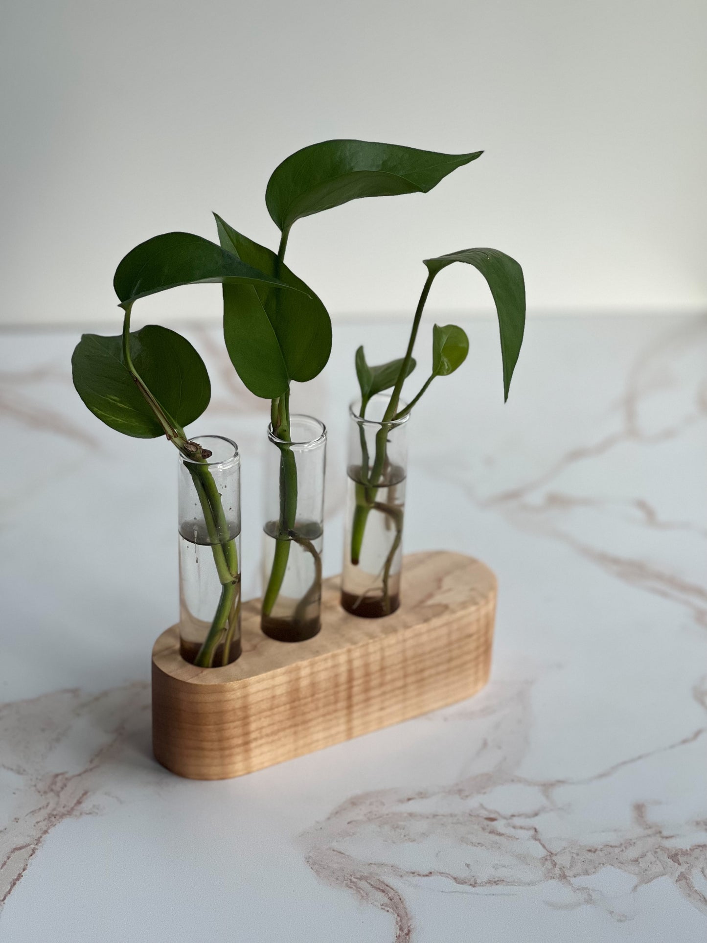 Gorgeous handcrafted round propagation station for indoor decor plants with natural wood stand and 3 planter glasses made by Camino Woodshop in Milwaukee