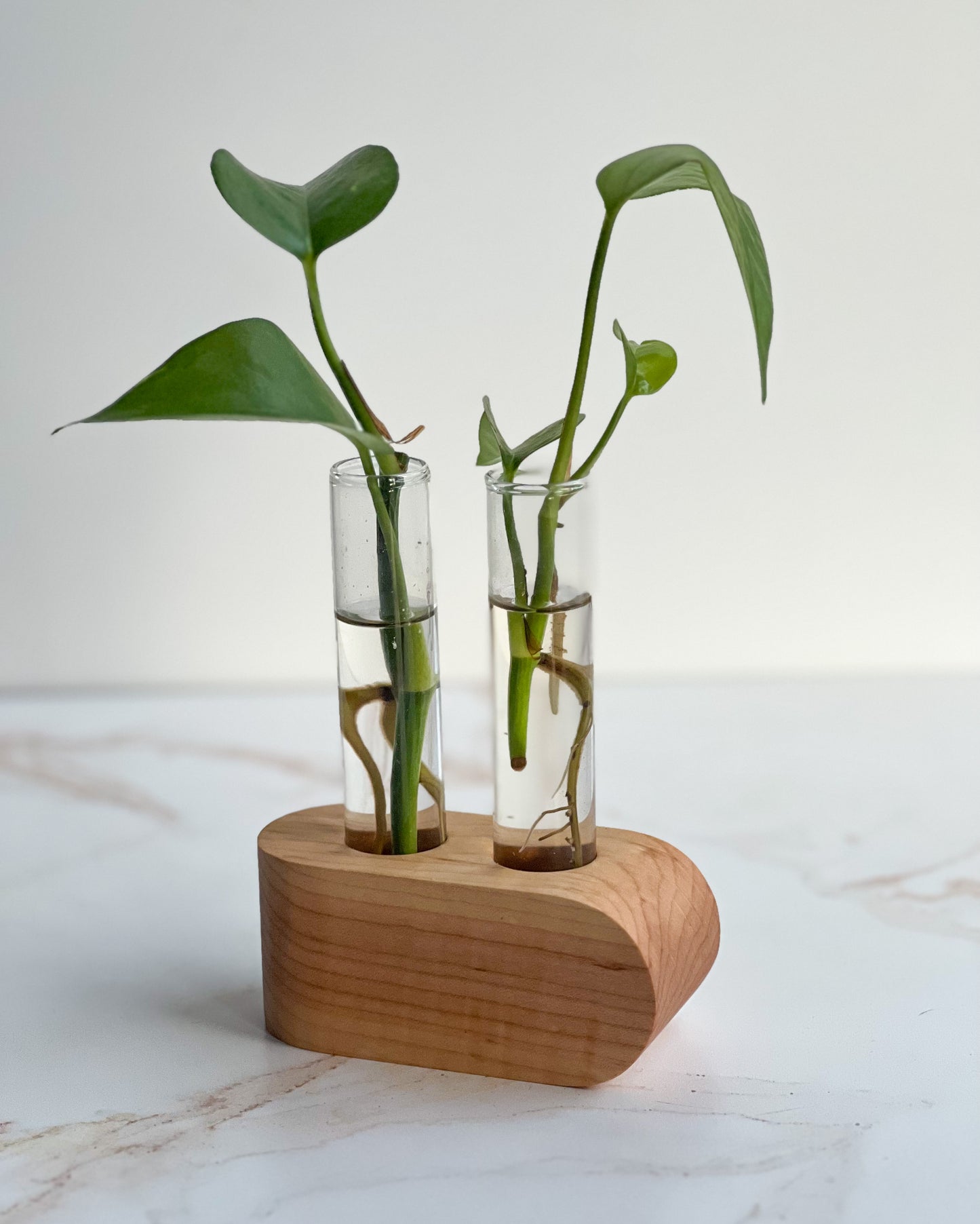 Gorgeous handcrafted round propagation station for indoor decor plants with natural wood stand and 2 planter glasses made by Camino Woodshop in Milwaukee