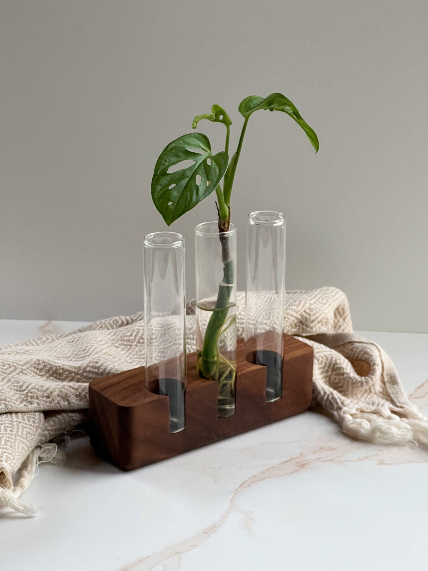 Stunning propagation station for indoor decor plants with natural wood stand and 3 planter glasses, sitting on a marble tabletop with a modern herringbone blanket draped behind it