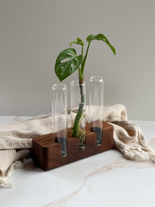 Stunning propagation station for indoor decor plants with natural wood stand and 3 planter glasses, sitting on a marble tabletop with a modern herringbone blanket draped behind it